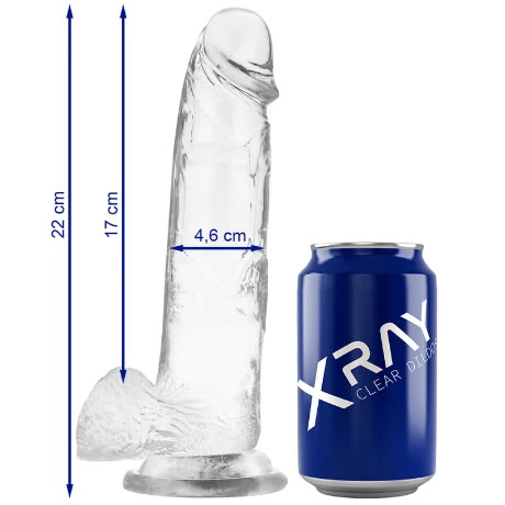 arnes-con-dildo-realista-transparente-22cm